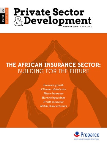 Exploring The Role Of Insurance Companies In Ghanas Development Agenda